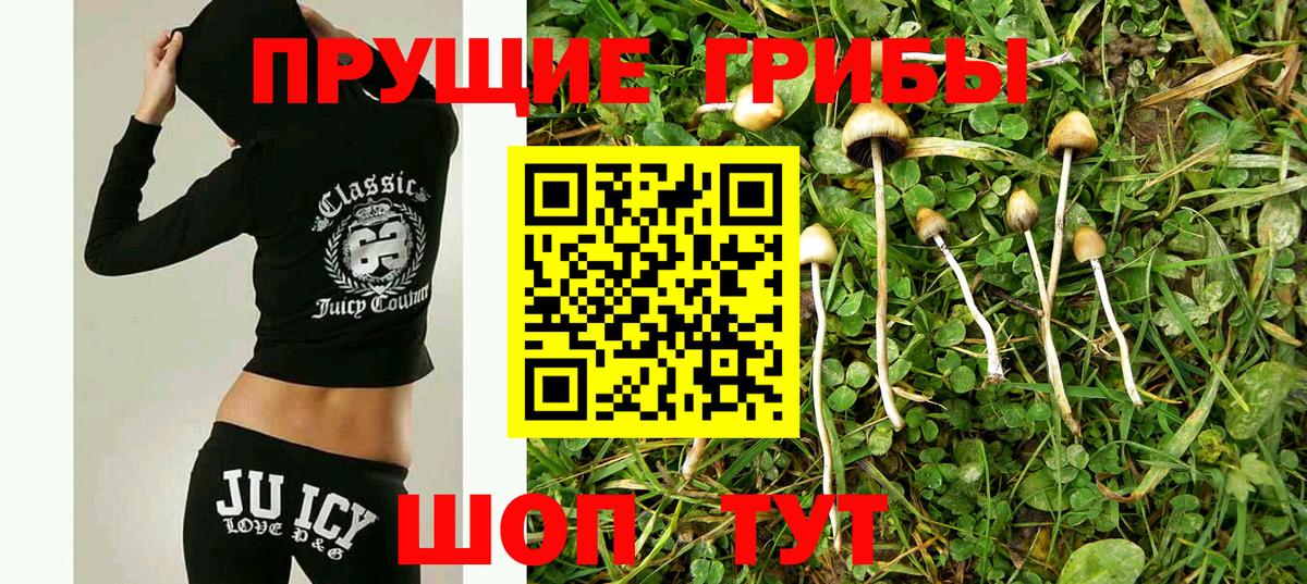 Галлюциногенные грибы GOLDEN TEACHER Курчалой